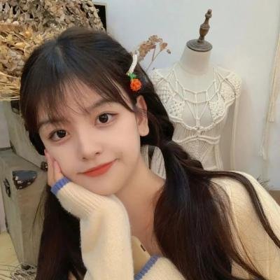 鲨与鲸